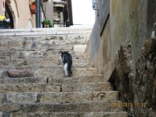 ИСПАНИЯ И НЕ ТОЛЬКО – ОТ ТАРРАГОНЫ ДО САН-РЕМО. САМОСТОЯТЕЛЬНО