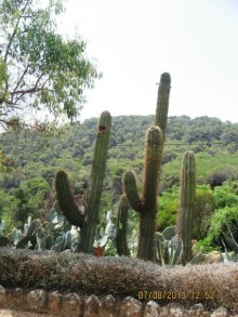 ИСПАНИЯ И НЕ ТОЛЬКО – ОТ ТАРРАГОНЫ ДО САН-РЕМО. САМОСТОЯТЕЛЬНО