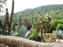 ИСПАНИЯ И НЕ ТОЛЬКО – ОТ ТАРРАГОНЫ ДО САН-РЕМО. САМОСТОЯТЕЛЬНО