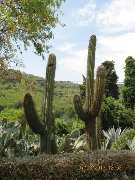 ИСПАНИЯ И НЕ ТОЛЬКО – ОТ ТАРРАГОНЫ ДО САН-РЕМО. САМОСТОЯТЕЛЬНО