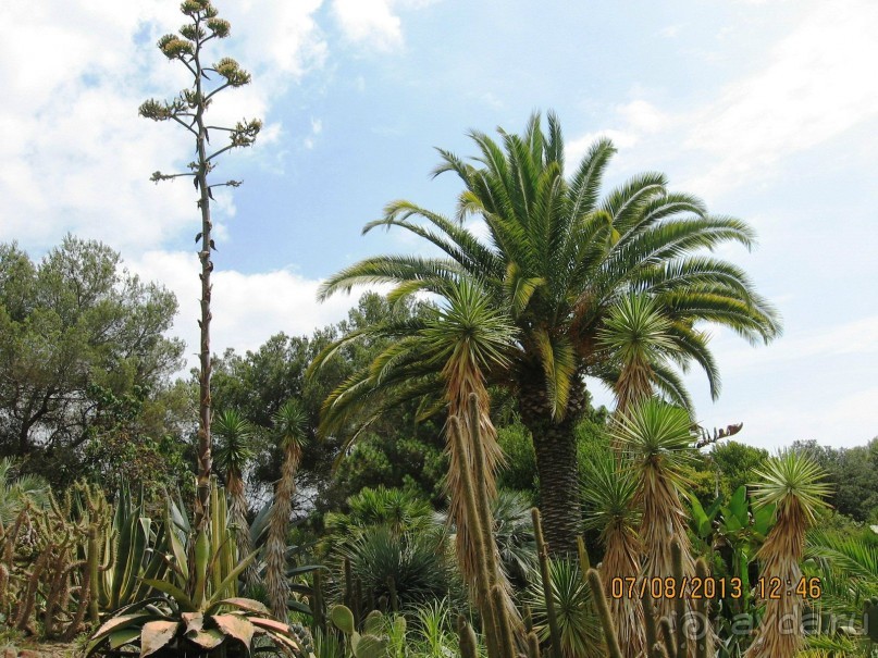 ИСПАНИЯ И НЕ ТОЛЬКО – ОТ ТАРРАГОНЫ ДО САН-РЕМО. САМОСТОЯТЕЛЬНО