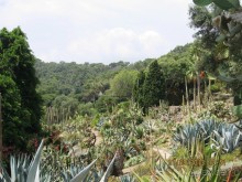 ИСПАНИЯ И НЕ ТОЛЬКО – ОТ ТАРРАГОНЫ ДО САН-РЕМО. САМОСТОЯТЕЛЬНО