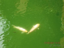 ИСПАНИЯ И НЕ ТОЛЬКО – ОТ ТАРРАГОНЫ ДО САН-РЕМО. САМОСТОЯТЕЛЬНО