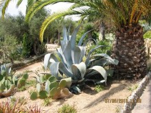 ИСПАНИЯ И НЕ ТОЛЬКО – ОТ ТАРРАГОНЫ ДО САН-РЕМО. САМОСТОЯТЕЛЬНО