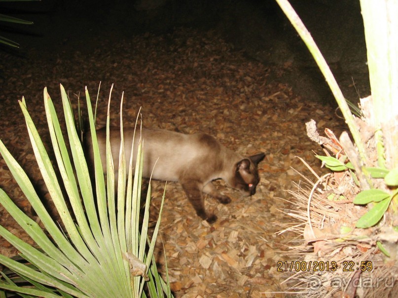 ИСПАНИЯ И НЕ ТОЛЬКО – ОТ ТАРРАГОНЫ ДО САН-РЕМО. САМОСТОЯТЕЛЬНО