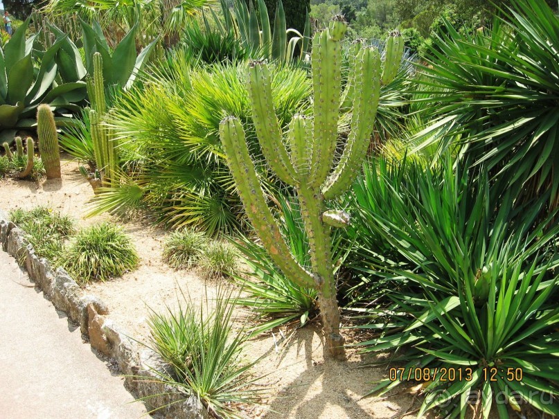 ИСПАНИЯ И НЕ ТОЛЬКО – ОТ ТАРРАГОНЫ ДО САН-РЕМО. САМОСТОЯТЕЛЬНО