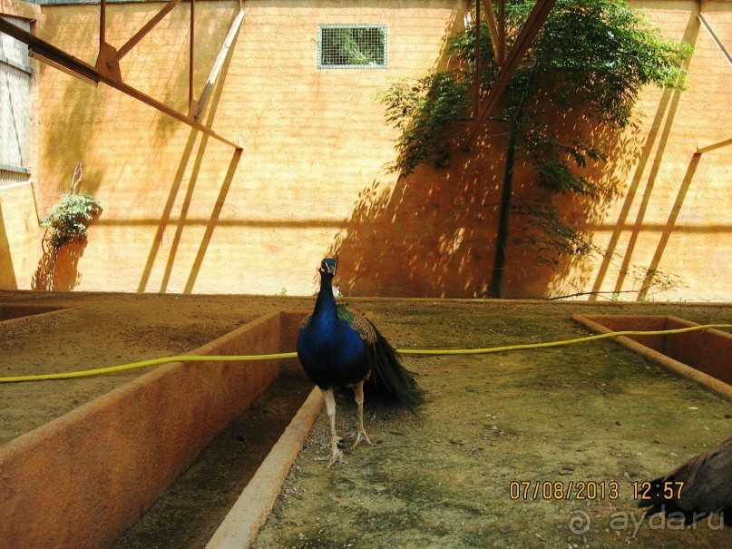 ИСПАНИЯ И НЕ ТОЛЬКО – ОТ ТАРРАГОНЫ ДО САН-РЕМО. САМОСТОЯТЕЛЬНО