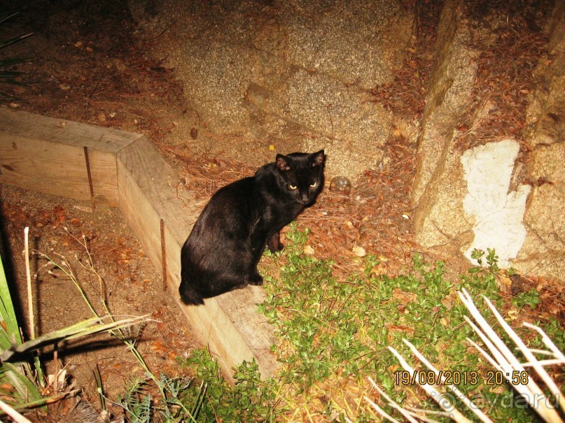 ИСПАНИЯ И НЕ ТОЛЬКО – ОТ ТАРРАГОНЫ ДО САН-РЕМО. САМОСТОЯТЕЛЬНО