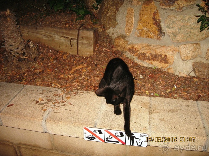 ИСПАНИЯ И НЕ ТОЛЬКО – ОТ ТАРРАГОНЫ ДО САН-РЕМО. САМОСТОЯТЕЛЬНО