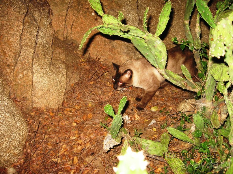 ИСПАНИЯ И НЕ ТОЛЬКО – ОТ ТАРРАГОНЫ ДО САН-РЕМО. САМОСТОЯТЕЛЬНО