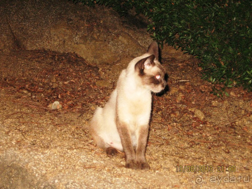 ИСПАНИЯ И НЕ ТОЛЬКО – ОТ ТАРРАГОНЫ ДО САН-РЕМО. САМОСТОЯТЕЛЬНО