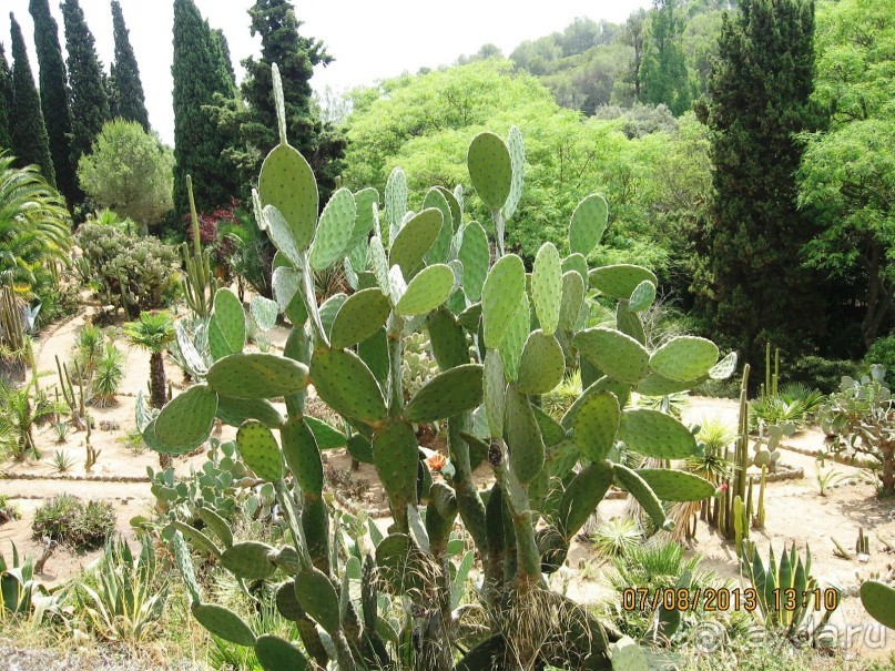 ИСПАНИЯ И НЕ ТОЛЬКО – ОТ ТАРРАГОНЫ ДО САН-РЕМО. САМОСТОЯТЕЛЬНО