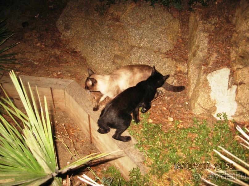 ИСПАНИЯ И НЕ ТОЛЬКО – ОТ ТАРРАГОНЫ ДО САН-РЕМО. САМОСТОЯТЕЛЬНО