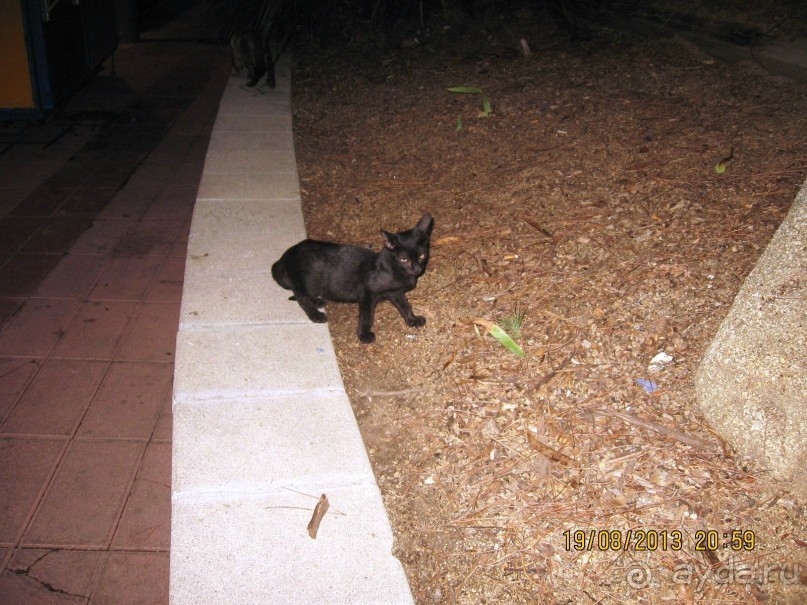 ИСПАНИЯ И НЕ ТОЛЬКО – ОТ ТАРРАГОНЫ ДО САН-РЕМО. САМОСТОЯТЕЛЬНО