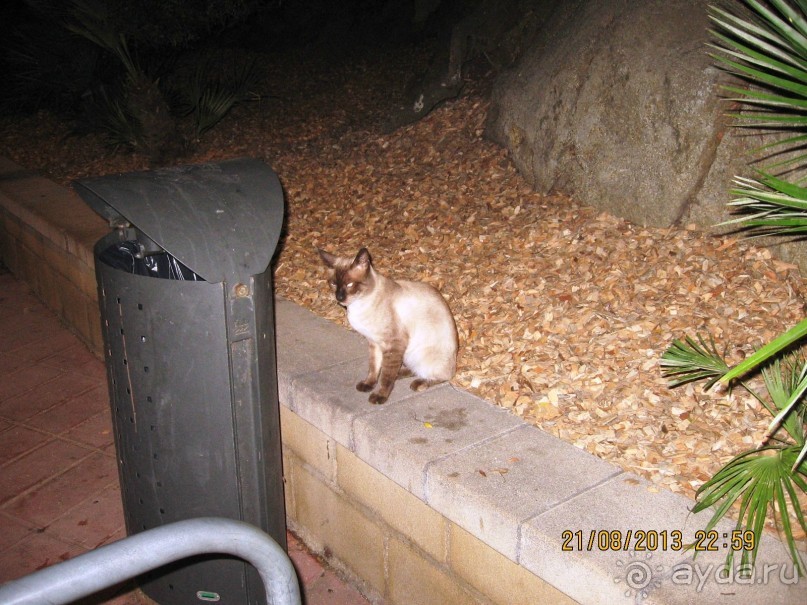 ИСПАНИЯ И НЕ ТОЛЬКО – ОТ ТАРРАГОНЫ ДО САН-РЕМО. САМОСТОЯТЕЛЬНО