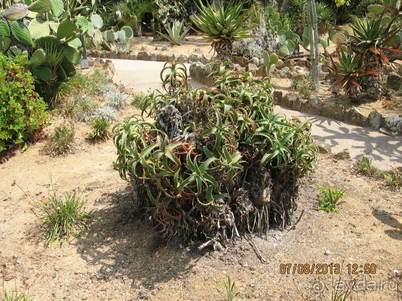 ИСПАНИЯ И НЕ ТОЛЬКО – ОТ ТАРРАГОНЫ ДО САН-РЕМО. САМОСТОЯТЕЛЬНО