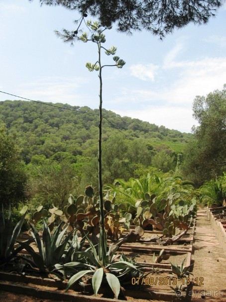 ИСПАНИЯ И НЕ ТОЛЬКО – ОТ ТАРРАГОНЫ ДО САН-РЕМО. САМОСТОЯТЕЛЬНО