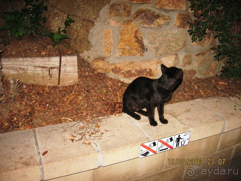 ИСПАНИЯ И НЕ ТОЛЬКО – ОТ ТАРРАГОНЫ ДО САН-РЕМО. САМОСТОЯТЕЛЬНО