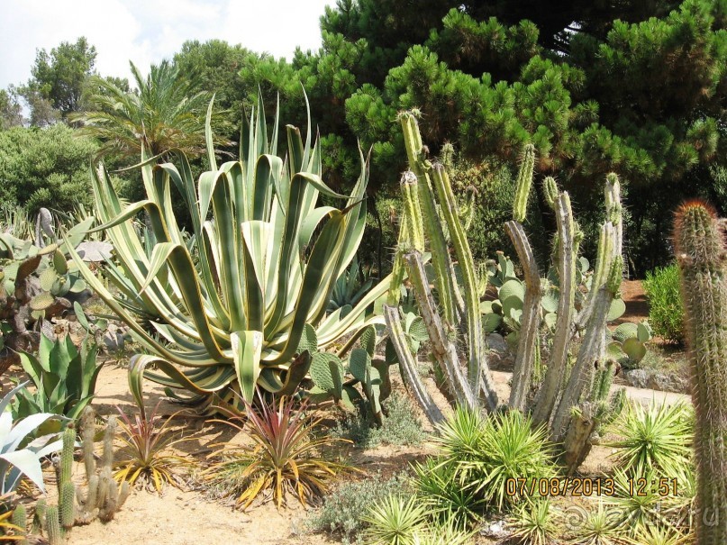 ИСПАНИЯ И НЕ ТОЛЬКО – ОТ ТАРРАГОНЫ ДО САН-РЕМО. САМОСТОЯТЕЛЬНО