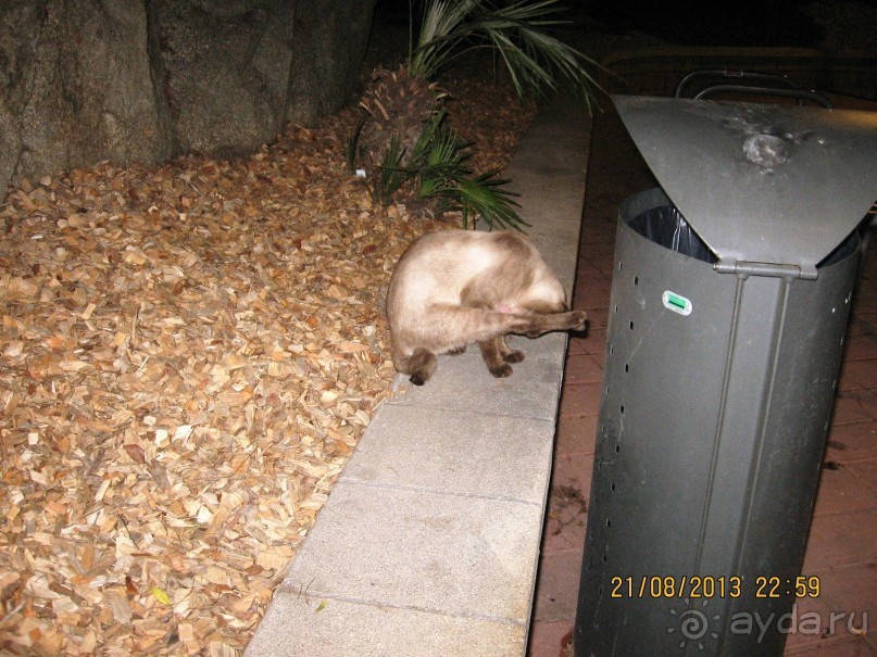 ИСПАНИЯ И НЕ ТОЛЬКО – ОТ ТАРРАГОНЫ ДО САН-РЕМО. САМОСТОЯТЕЛЬНО