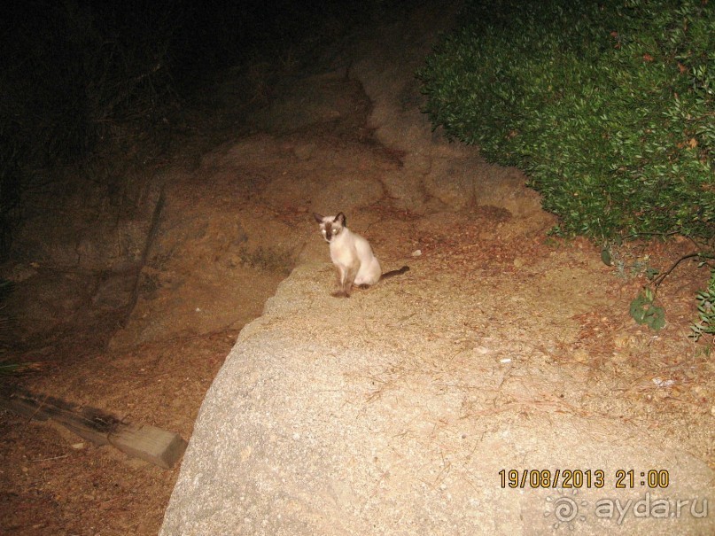 ИСПАНИЯ И НЕ ТОЛЬКО – ОТ ТАРРАГОНЫ ДО САН-РЕМО. САМОСТОЯТЕЛЬНО