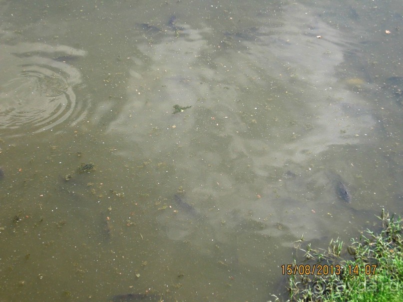 ИСПАНИЯ И НЕ ТОЛЬКО – ОТ ТАРРАГОНЫ ДО САН-РЕМО. САМОСТОЯТЕЛЬНО