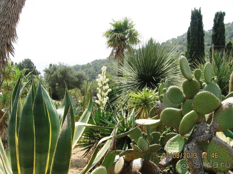 ИСПАНИЯ И НЕ ТОЛЬКО – ОТ ТАРРАГОНЫ ДО САН-РЕМО. САМОСТОЯТЕЛЬНО