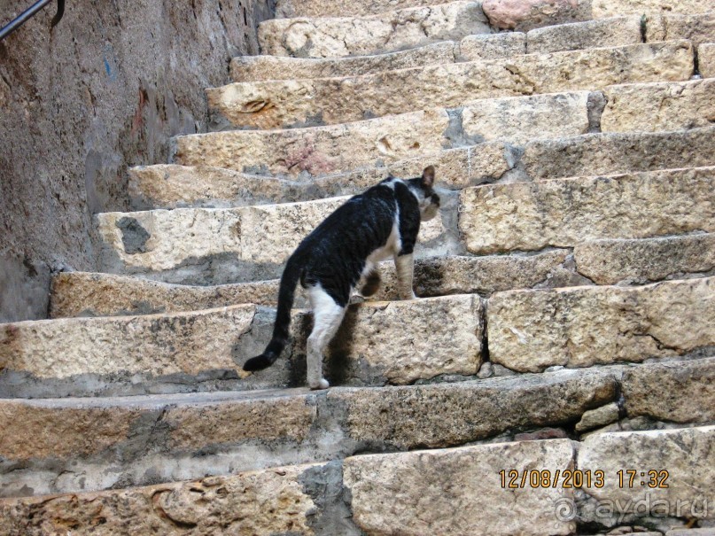 ИСПАНИЯ И НЕ ТОЛЬКО – ОТ ТАРРАГОНЫ ДО САН-РЕМО. САМОСТОЯТЕЛЬНО