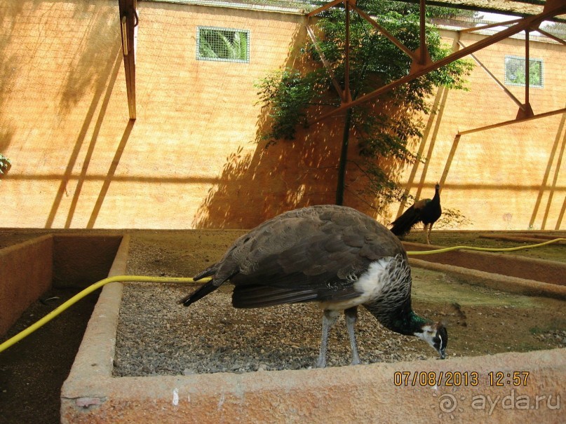 ИСПАНИЯ И НЕ ТОЛЬКО – ОТ ТАРРАГОНЫ ДО САН-РЕМО. САМОСТОЯТЕЛЬНО