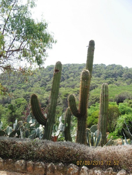 ИСПАНИЯ И НЕ ТОЛЬКО – ОТ ТАРРАГОНЫ ДО САН-РЕМО. САМОСТОЯТЕЛЬНО