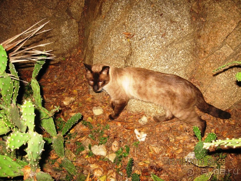 ИСПАНИЯ И НЕ ТОЛЬКО – ОТ ТАРРАГОНЫ ДО САН-РЕМО. САМОСТОЯТЕЛЬНО