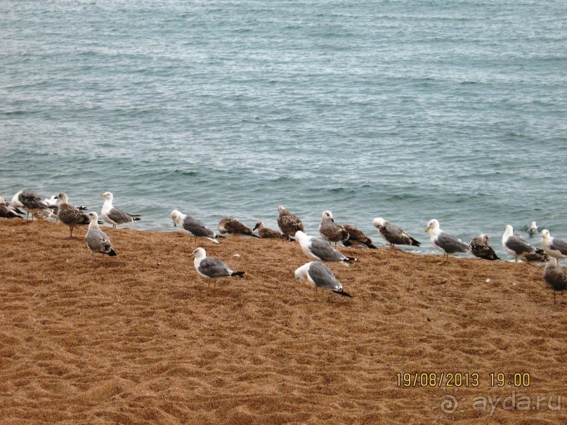 ИСПАНИЯ И НЕ ТОЛЬКО – ОТ ТАРРАГОНЫ ДО САН-РЕМО. САМОСТОЯТЕЛЬНО