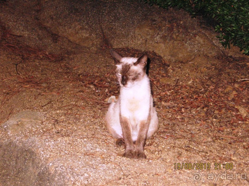 ИСПАНИЯ И НЕ ТОЛЬКО – ОТ ТАРРАГОНЫ ДО САН-РЕМО. САМОСТОЯТЕЛЬНО