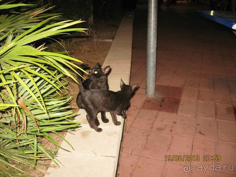 ИСПАНИЯ И НЕ ТОЛЬКО – ОТ ТАРРАГОНЫ ДО САН-РЕМО. САМОСТОЯТЕЛЬНО