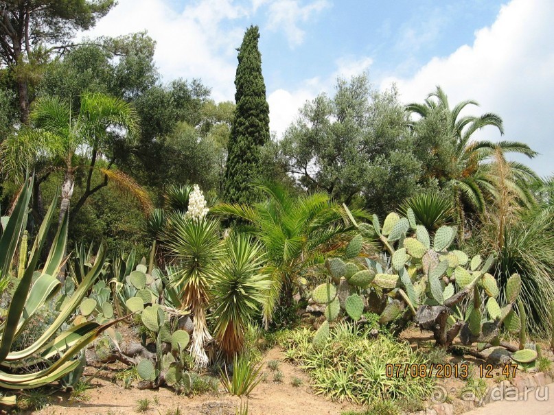 ИСПАНИЯ И НЕ ТОЛЬКО – ОТ ТАРРАГОНЫ ДО САН-РЕМО. САМОСТОЯТЕЛЬНО