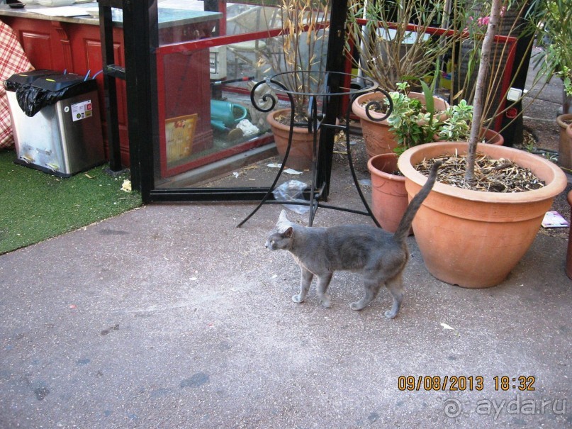 ИСПАНИЯ И НЕ ТОЛЬКО – ОТ ТАРРАГОНЫ ДО САН-РЕМО. САМОСТОЯТЕЛЬНО