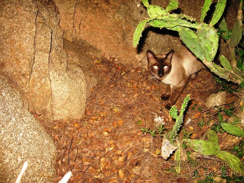 ИСПАНИЯ И НЕ ТОЛЬКО – ОТ ТАРРАГОНЫ ДО САН-РЕМО. САМОСТОЯТЕЛЬНО