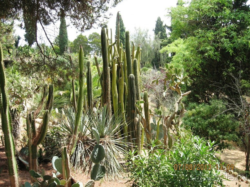 ИСПАНИЯ И НЕ ТОЛЬКО – ОТ ТАРРАГОНЫ ДО САН-РЕМО. САМОСТОЯТЕЛЬНО