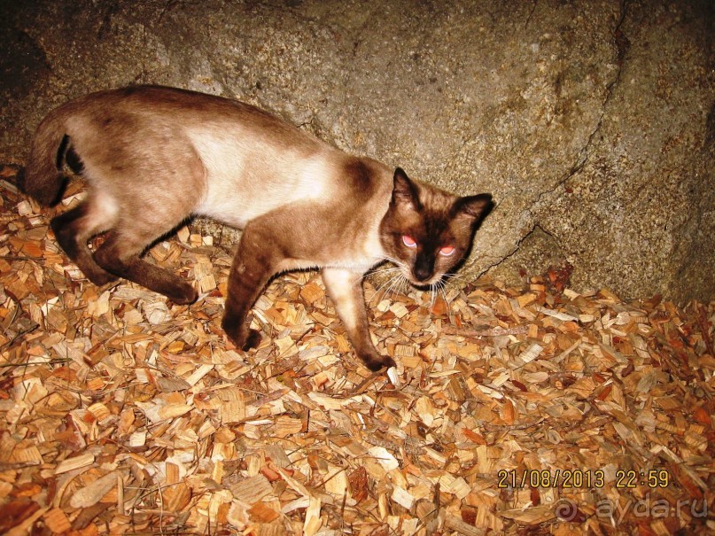 ИСПАНИЯ И НЕ ТОЛЬКО – ОТ ТАРРАГОНЫ ДО САН-РЕМО. САМОСТОЯТЕЛЬНО