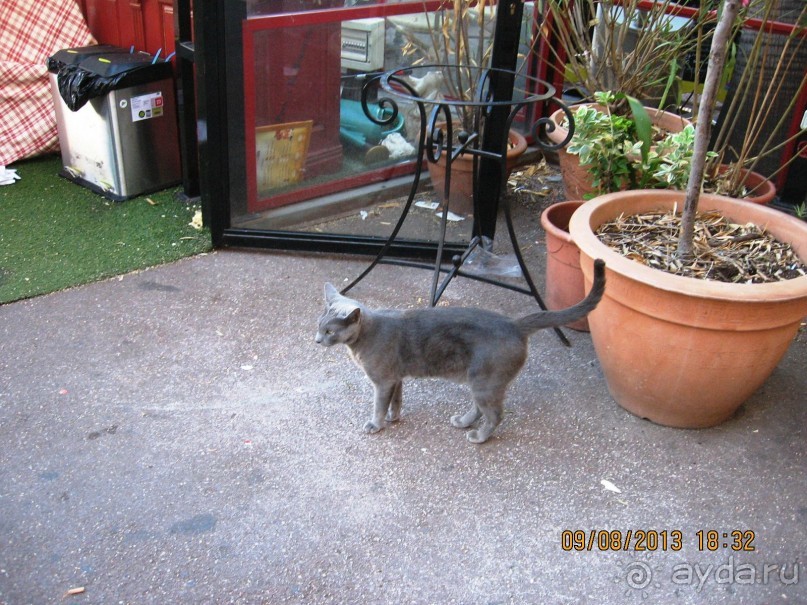 ИСПАНИЯ И НЕ ТОЛЬКО – ОТ ТАРРАГОНЫ ДО САН-РЕМО. САМОСТОЯТЕЛЬНО
