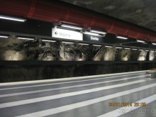 Альбом отзыва "НОВЫЙ ГОД В СТОКГОЛЬМЕ. САМОСТОЯТЕЛЬНО"