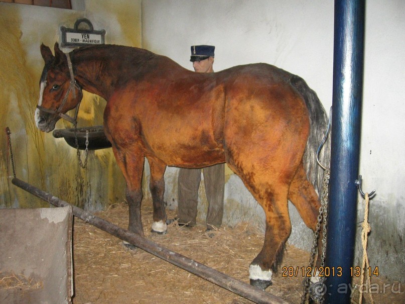 НОВЫЙ ГОД В СТОКГОЛЬМЕ. САМОСТОЯТЕЛЬНО