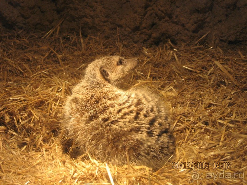 НОВЫЙ ГОД В СТОКГОЛЬМЕ. САМОСТОЯТЕЛЬНО