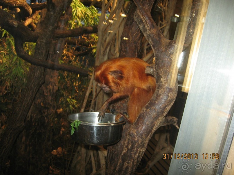 НОВЫЙ ГОД В СТОКГОЛЬМЕ. САМОСТОЯТЕЛЬНО