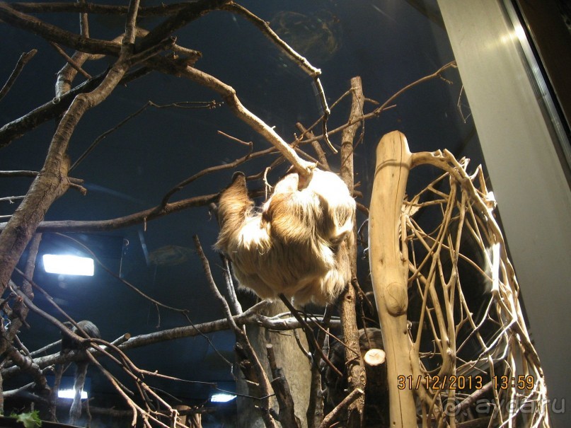 НОВЫЙ ГОД В СТОКГОЛЬМЕ. САМОСТОЯТЕЛЬНО