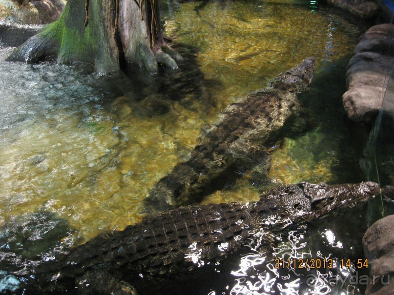 НОВЫЙ ГОД В СТОКГОЛЬМЕ. САМОСТОЯТЕЛЬНО