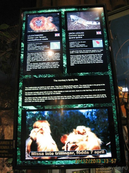 НОВЫЙ ГОД В СТОКГОЛЬМЕ. САМОСТОЯТЕЛЬНО