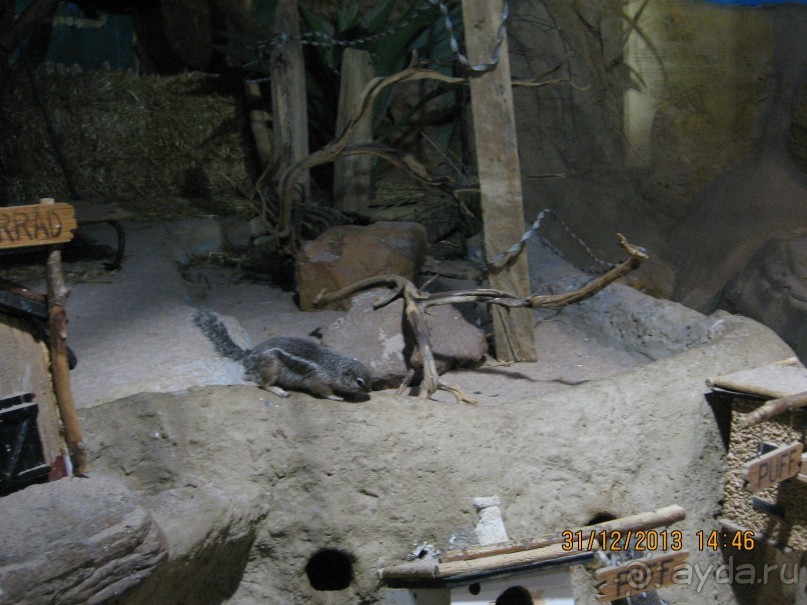 НОВЫЙ ГОД В СТОКГОЛЬМЕ. САМОСТОЯТЕЛЬНО