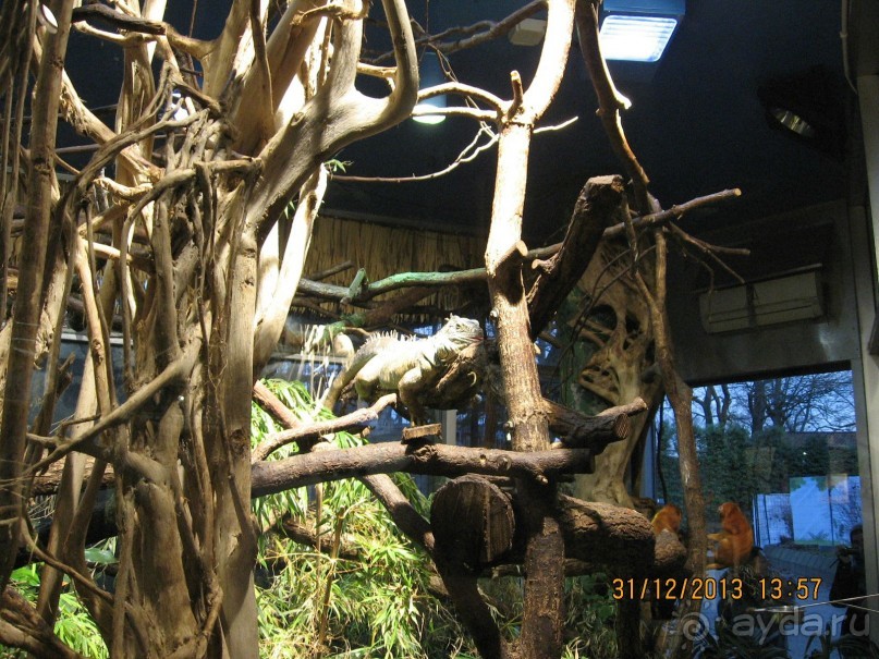 НОВЫЙ ГОД В СТОКГОЛЬМЕ. САМОСТОЯТЕЛЬНО