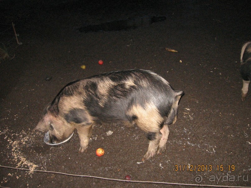 НОВЫЙ ГОД В СТОКГОЛЬМЕ. САМОСТОЯТЕЛЬНО